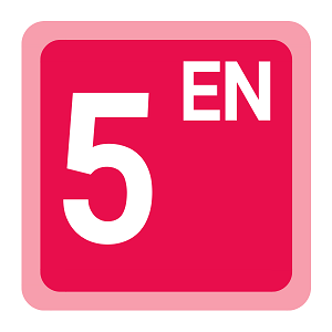 Year 5 English Term 4