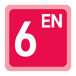 Year 6 English Term 4