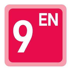 Year 9 English Term 4